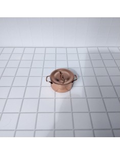 Olla de cobre 2