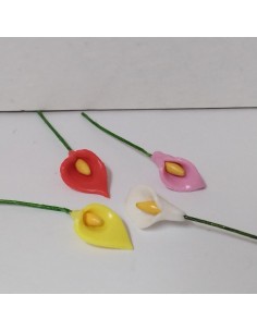 Flor de jarro o cala unidad