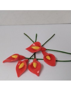 Flor de jarro o cala unidad 2