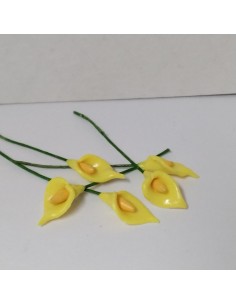 Flor de jarro o cala unidad 2