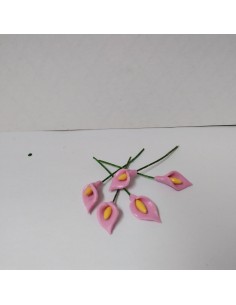 Flor de jarro o cala unidad 2