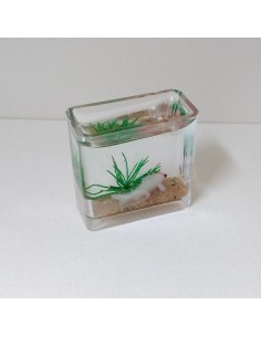 Acuario, unidad 2
