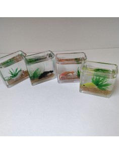Acuario, unidad