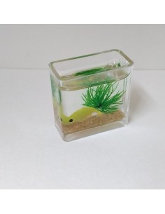 Acuario, unidad 2