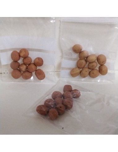 Patatas  10UNIDADES.