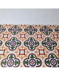 Suelo de mosaico hidráulico...