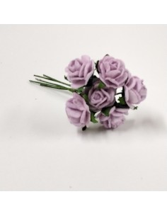 Rosas en miniatura, 6... 2
