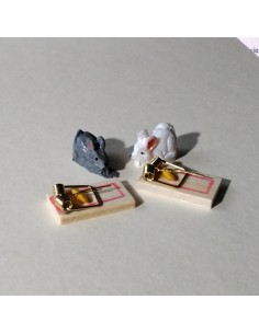 Ratón con trampa de resina