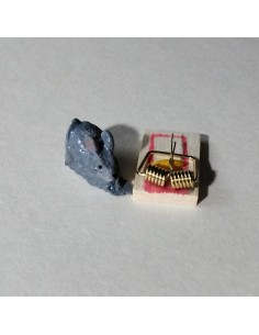 Ratón con trampa de resina 2