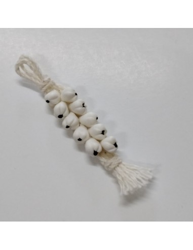 Ristra de ajos