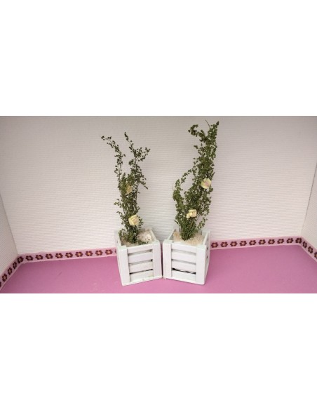 Macetero de madera con planta. (Saldo)