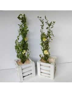 Macetero de madera con...