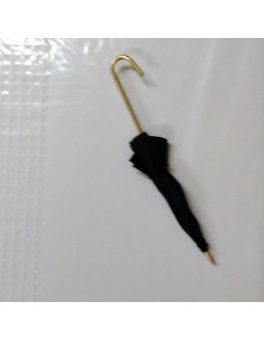 Paraguas verde o negro