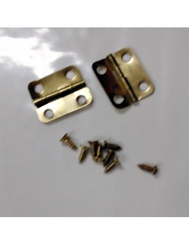 Bisagras 2 unidades de 1,5 cm x 1,8...