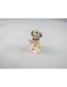 PERRO