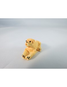 Perro 2