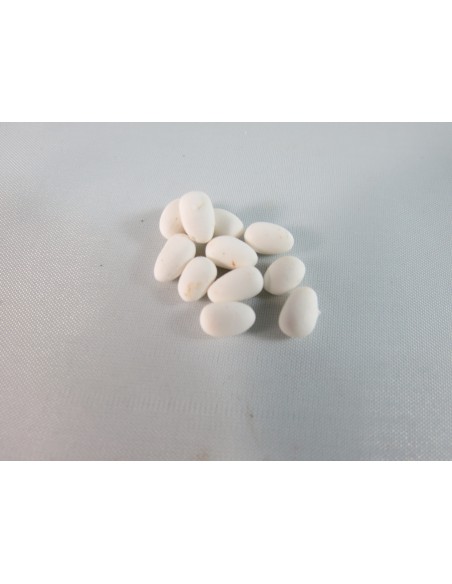 Docena de huevos blancos