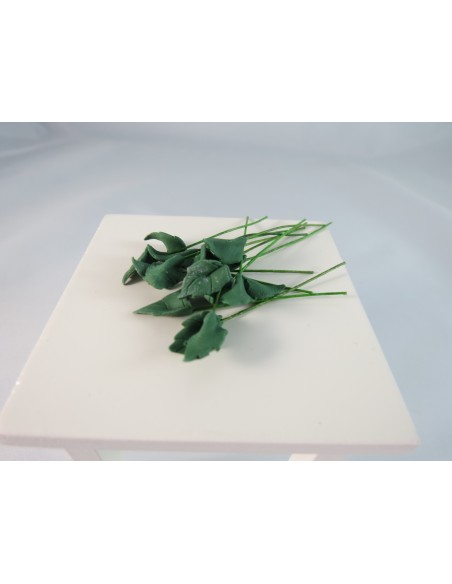 6 Hojas para macetas o ramosh