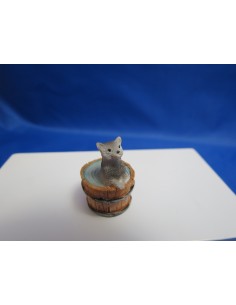 Ardilla dentro de tonel