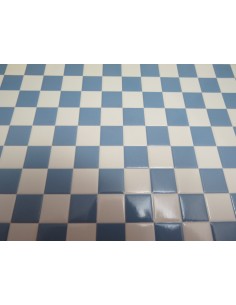 Azulejos, damero celeste/blanco 2