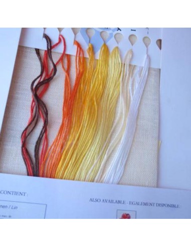 Kit de punto de cruz, de DMC