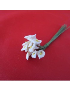 Ramillete de flor de Cala