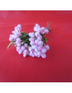 Ramillete de semillas en rosa