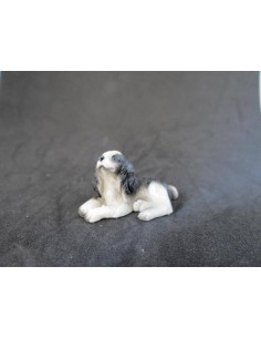 Perro springer spaniel