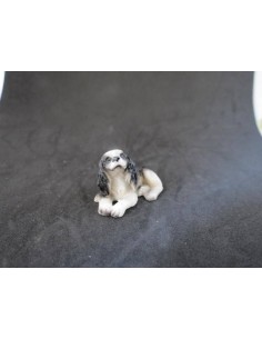 Perro springer spaniel 2