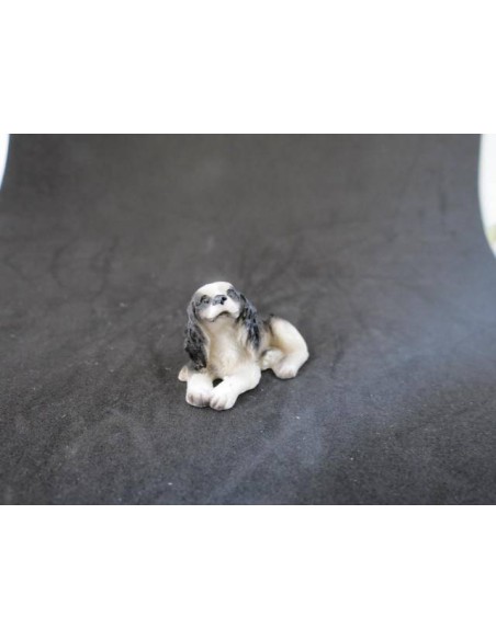 Perro springer spaniel