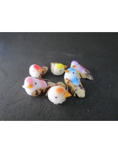 Pajaros de colores