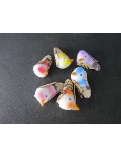 Pajaros de colores 2