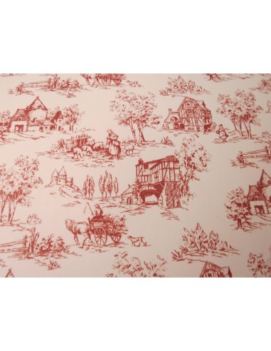 Papel Toile de Jouy Raspberry