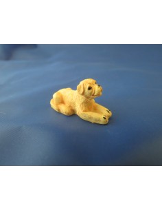 Perro