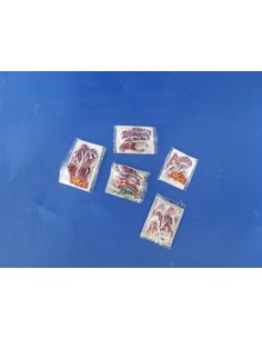 Envasado de jamón iberico